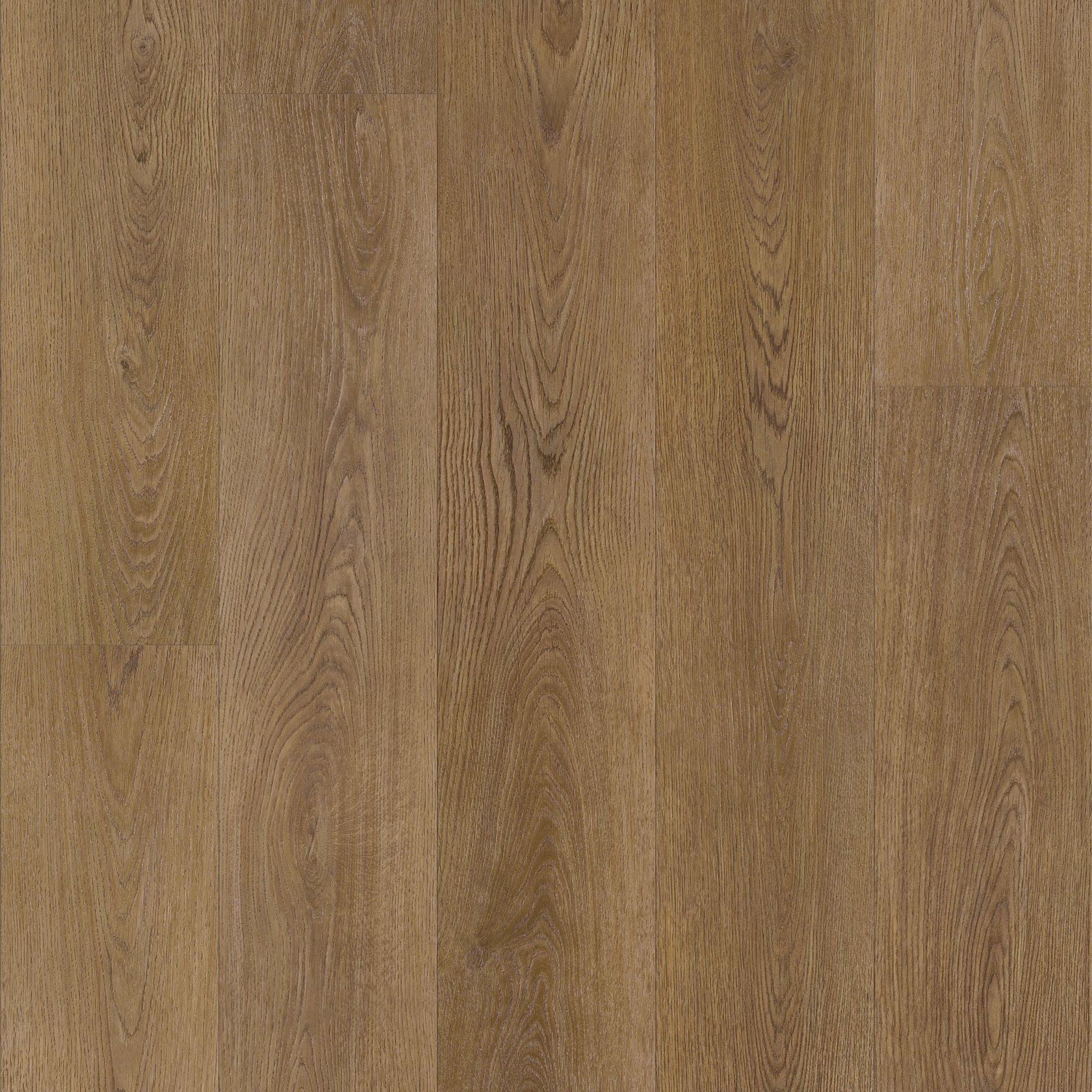 Saddle Oak