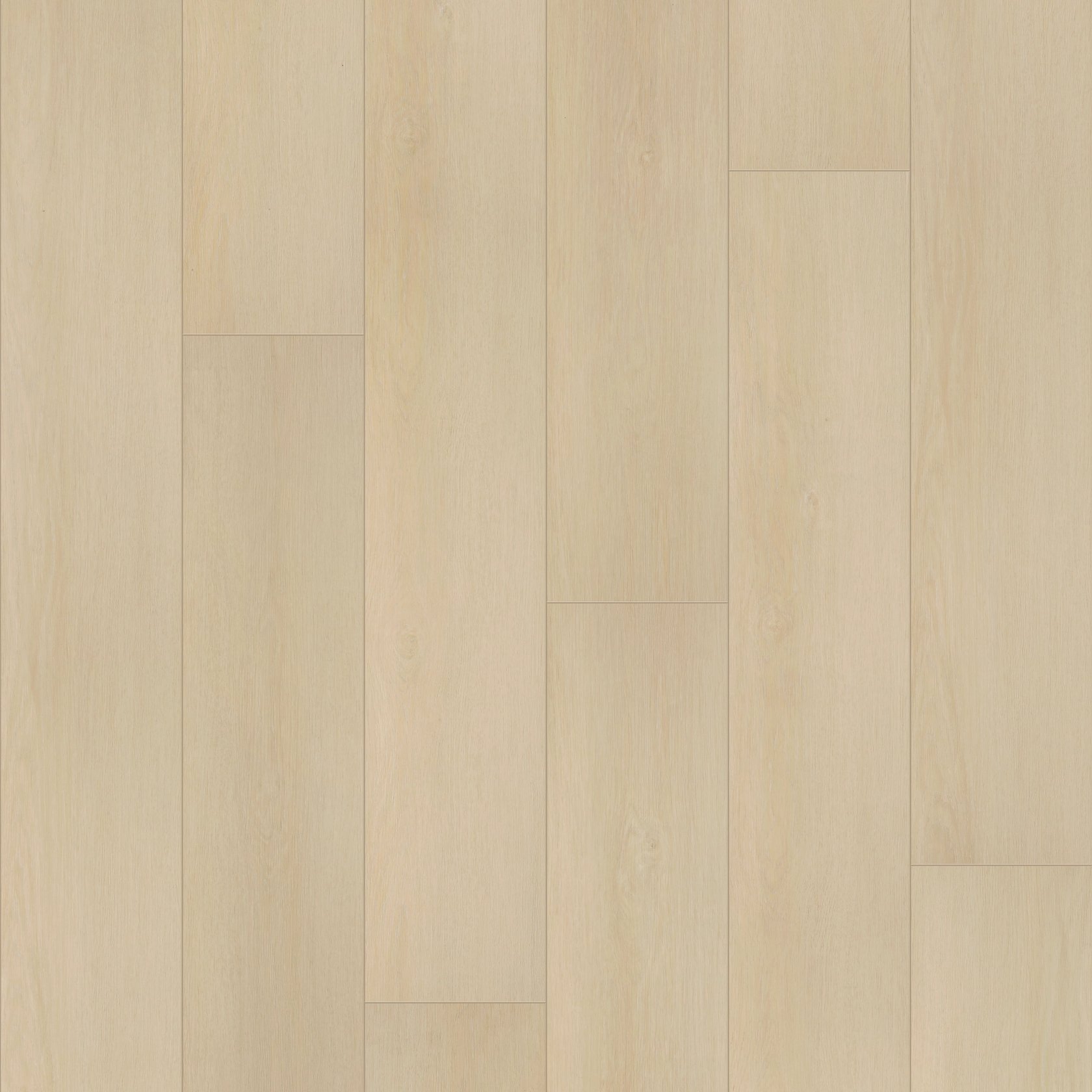 Champagne Mist Oak