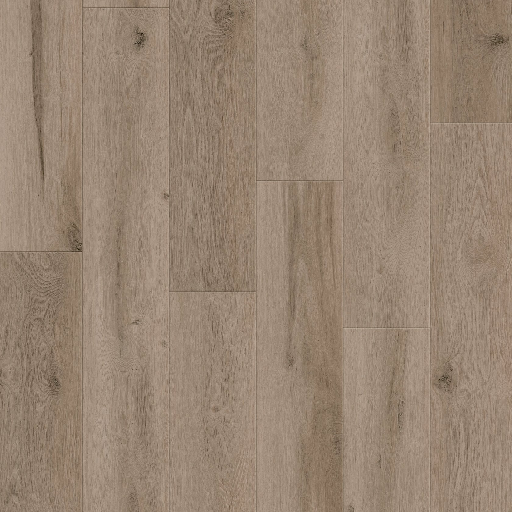 Smoky Linen Oak